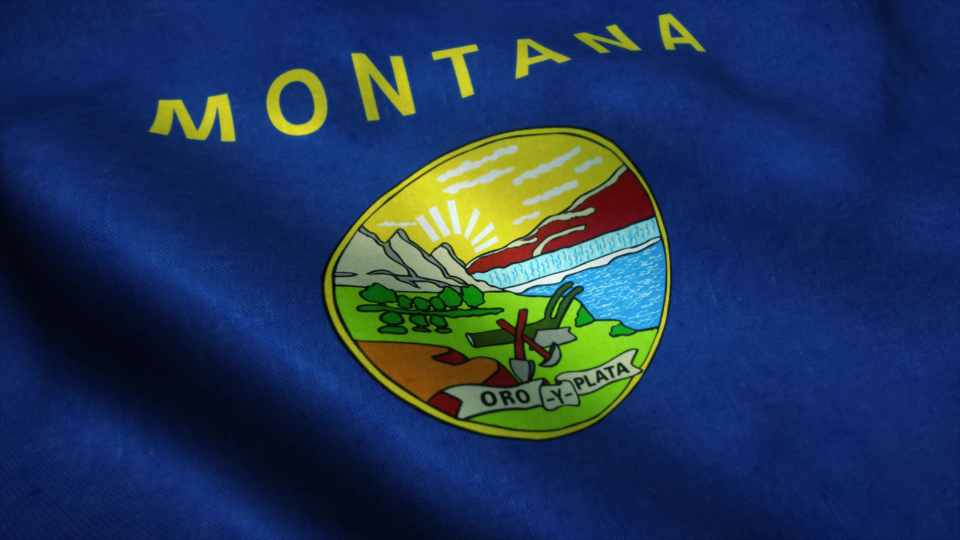 Montana Flag
