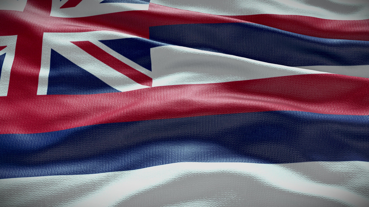 State flag of Hawaii