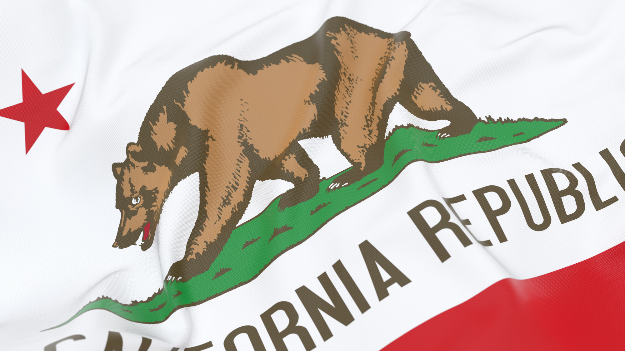 The California state flag