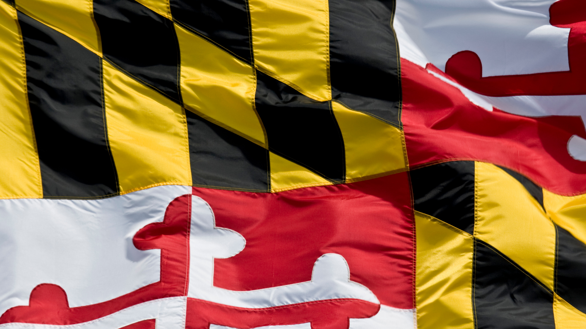 Maryland State Flag