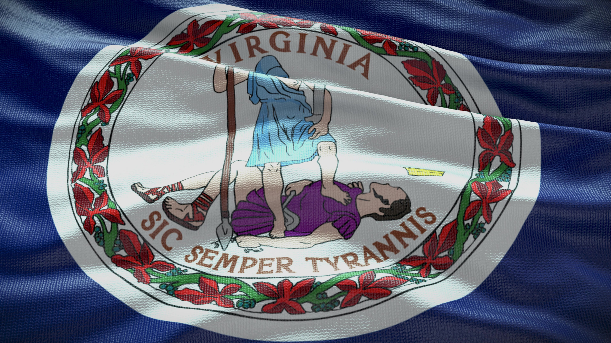 Virginia State Flag